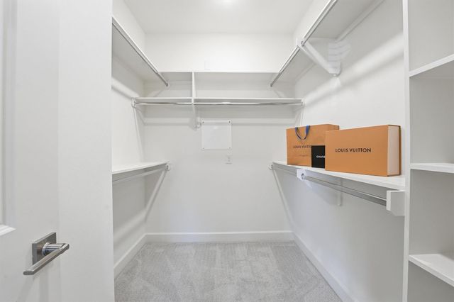 25234 Calhoun Creek Drive, The Woodlands, TX 77380