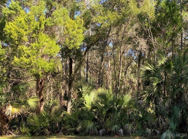 4121 N Sun Dance Point, Crystal River, FL 34428