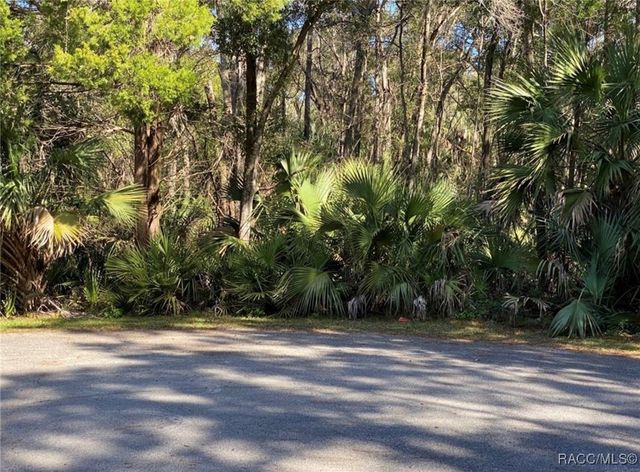 4121 N Sun Dance Point, Crystal River, FL 34428