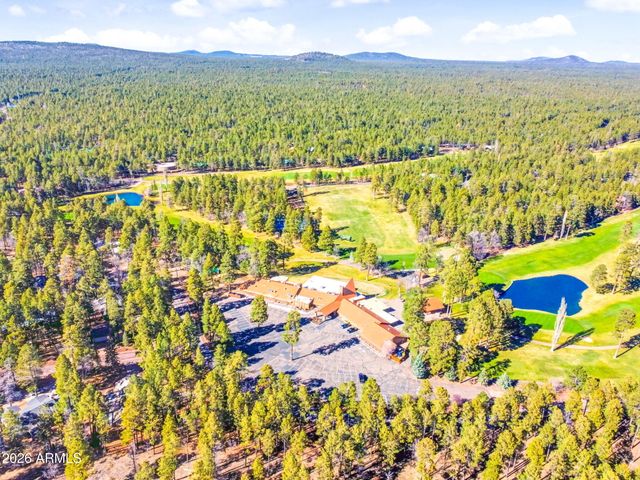 7345 TALL PINE Drive, Pinetop, AZ 85935