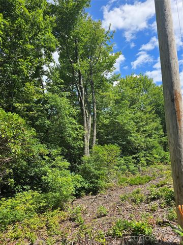 0000 Nancy Mountain Road, Rosman, NC 28772