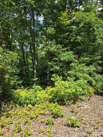 0000 Nancy Mountain Road, Rosman, NC 28772