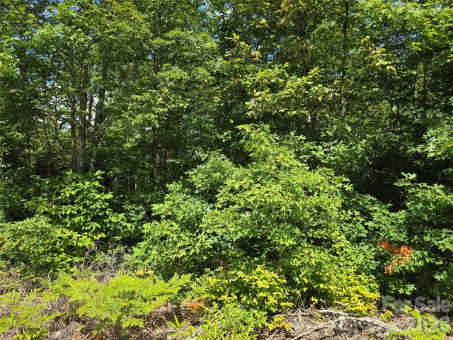 0000 Nancy Mountain Road, Rosman, NC 28772