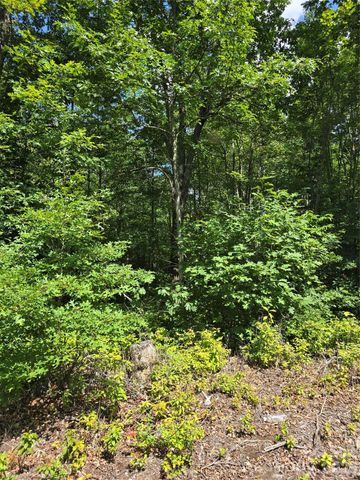 0000 Nancy Mountain Road, Rosman, NC 28772