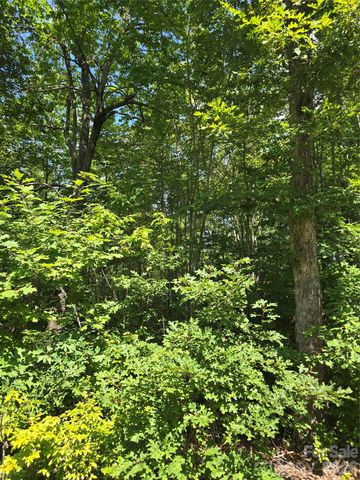 0000 Nancy Mountain Road, Rosman, NC 28772