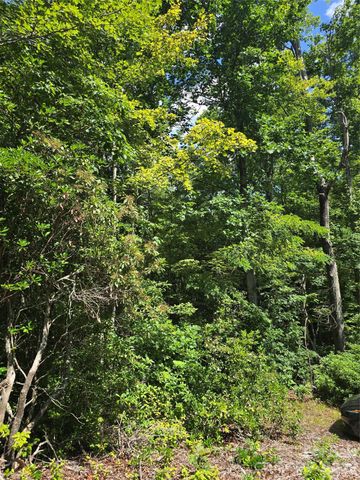 0000 Nancy Mountain Road, Rosman, NC 28772