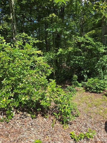 0000 Nancy Mountain Road, Rosman, NC 28772