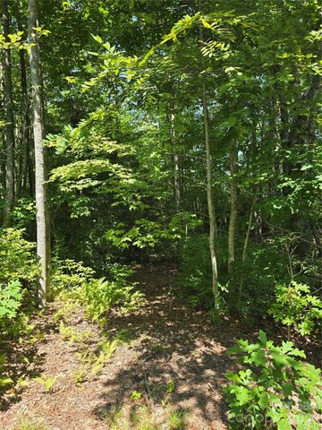 0000 Nancy Mountain Road, Rosman, NC 28772