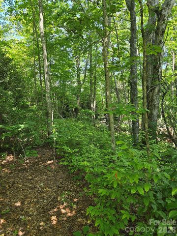 0000 Nancy Mountain Road, Rosman, NC 28772