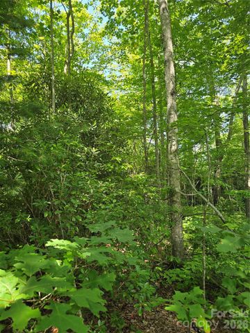 0000 Nancy Mountain Road, Rosman, NC 28772