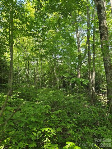 0000 Nancy Mountain Road, Rosman, NC 28772