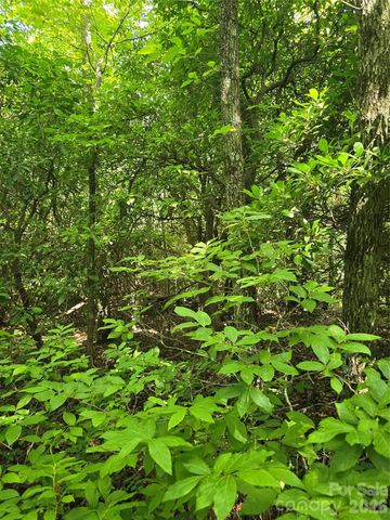 0000 Nancy Mountain Road, Rosman, NC 28772