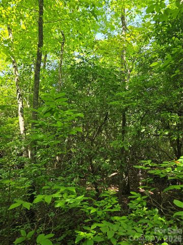 0000 Nancy Mountain Road, Rosman, NC 28772
