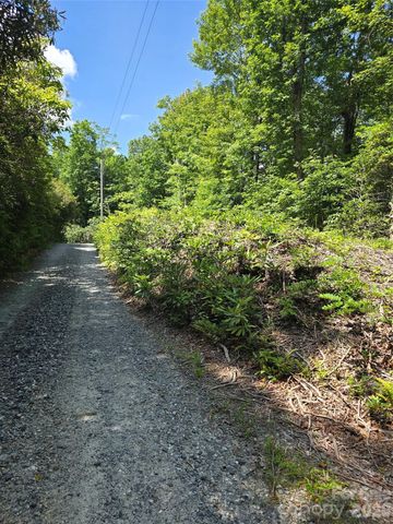 0000 Nancy Mountain Road, Rosman, NC 28772