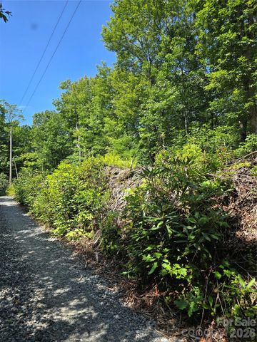 0000 Nancy Mountain Road, Rosman, NC 28772