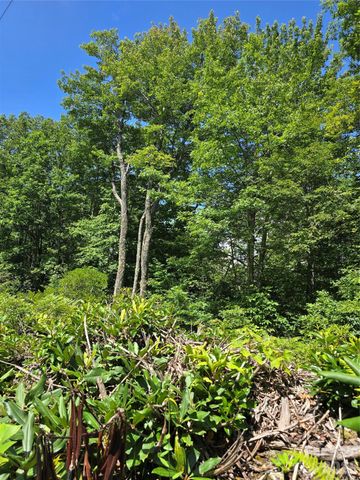 0000 Nancy Mountain Road, Rosman, NC 28772
