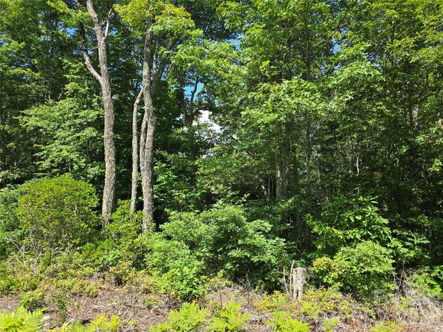 0000 Nancy Mountain Road, Rosman, NC 28772