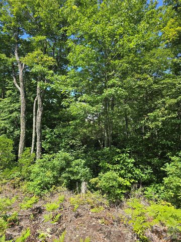 0000 Nancy Mountain Road, Rosman, NC 28772