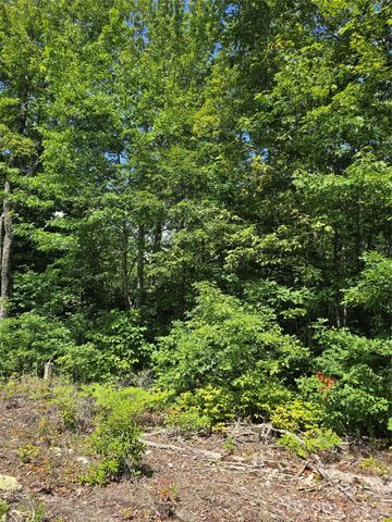 0000 Nancy Mountain Road, Rosman, NC 28772