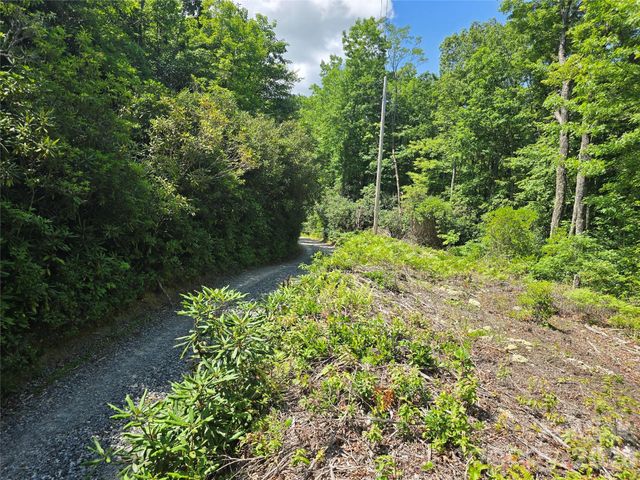 0000 Nancy Mountain Road, Rosman, NC 28772