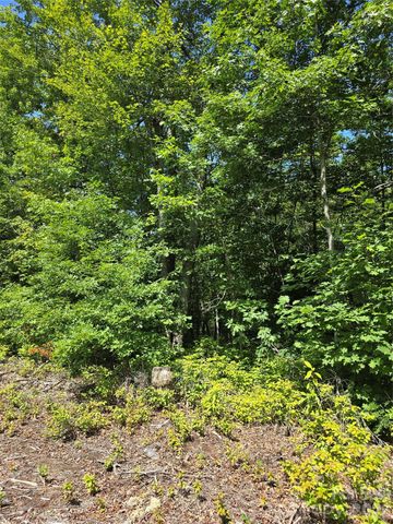 0000 Nancy Mountain Road, Rosman, NC 28772