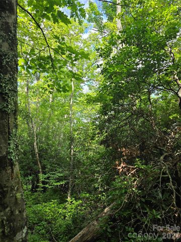 0000 Nancy Mountain Road, Rosman, NC 28772