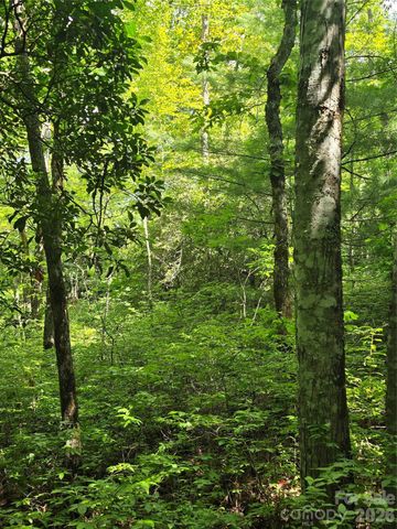 0000 Nancy Mountain Road, Rosman, NC 28772