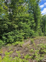 0000 Nancy Mountain Road, Rosman, NC 28772
