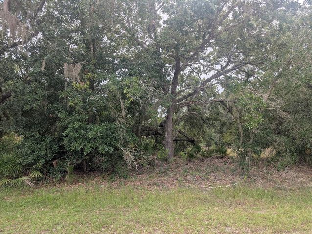 GAILLARDIA DRIVE, Indian Lake Estates, FL 33855