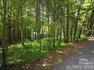 164 Country Lane, Brevard, NC 28712