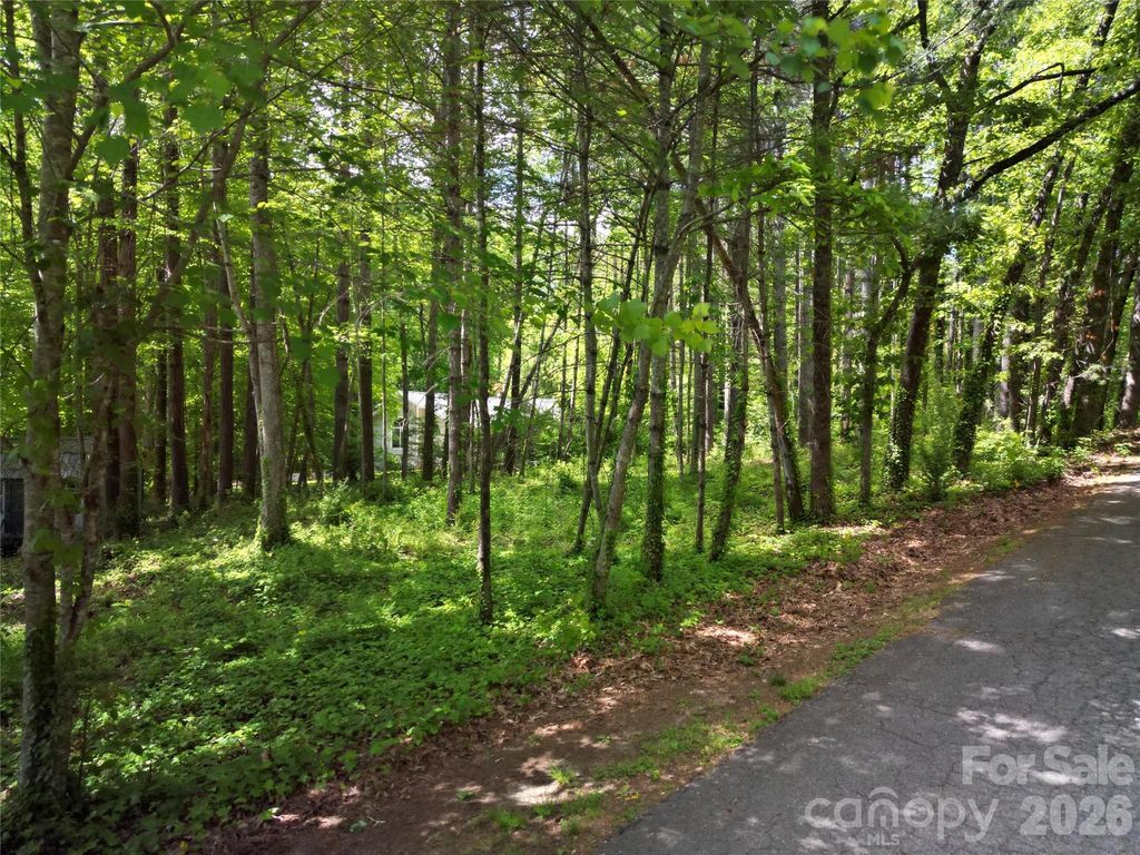 164 Country Lane, Brevard, NC 28712