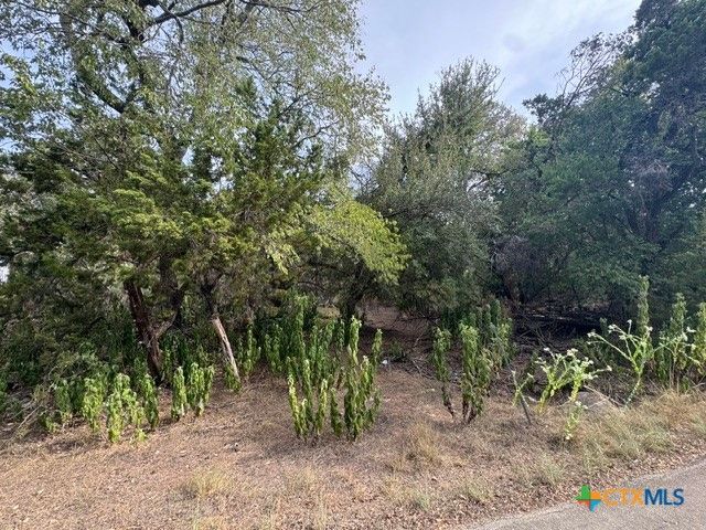 502 Creekside Drive, Canyon Lake, TX 78133