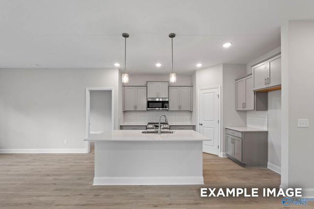 244 Irish Hill Drive, Meridianville, AL 35759