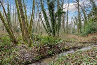16 XXX 76th Place NE, Kenmore, WA 98028
