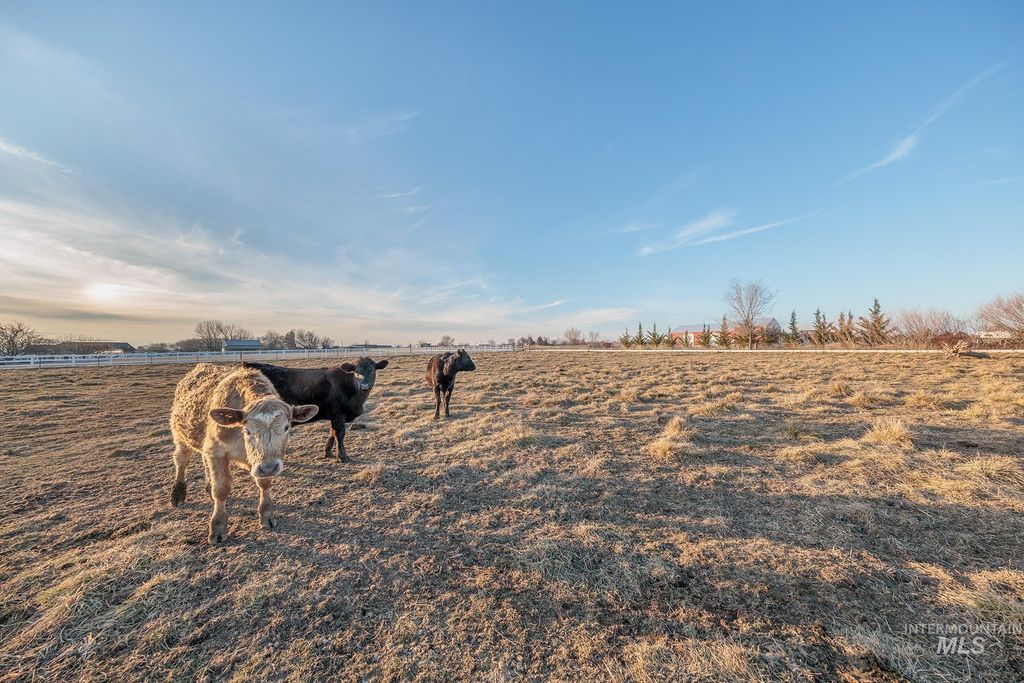 6916 E Brindle Point Dr, Nampa, ID 83687 photo 39