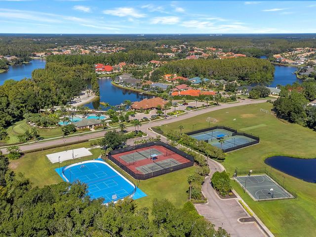 18022 MAUI ISLE DRIVE, Tampa, FL 33647