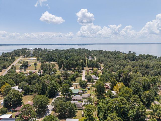 221 Oak Ridge Drive, Onalaska, TX 77360