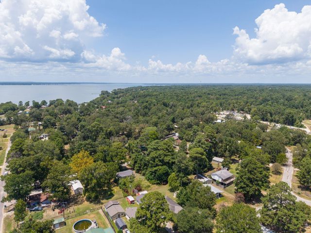 221 Oak Ridge Drive, Onalaska, TX 77360