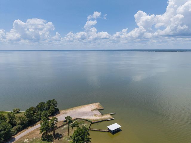 221 Oak Ridge Drive, Onalaska, TX 77360