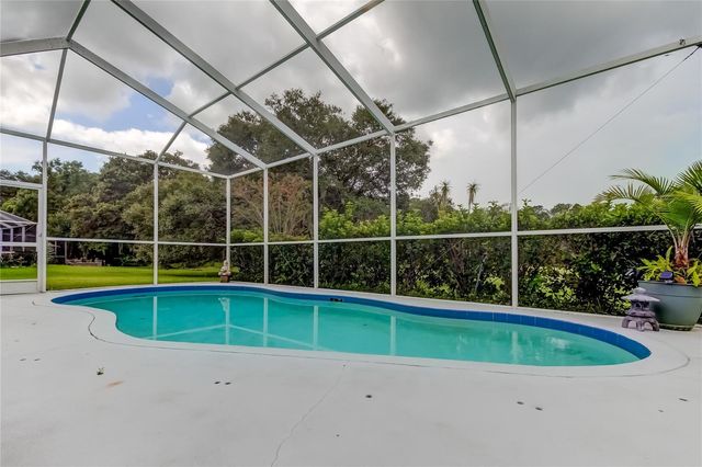 12943 ROYAL GEORGE AVENUE, Odessa, FL 33556