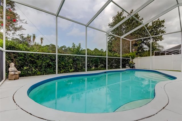 12943 ROYAL GEORGE AVENUE, Odessa, FL 33556