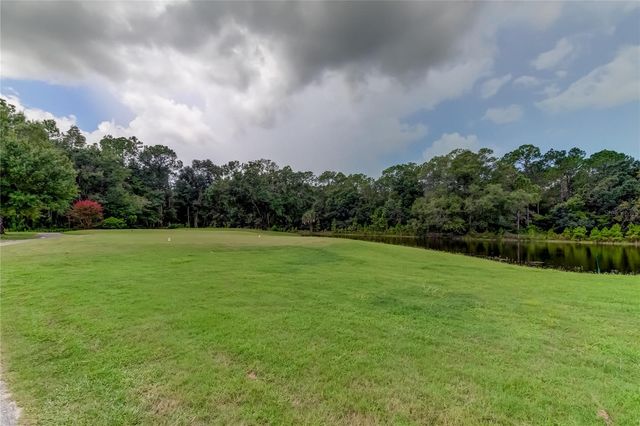 12943 ROYAL GEORGE AVENUE, Odessa, FL 33556