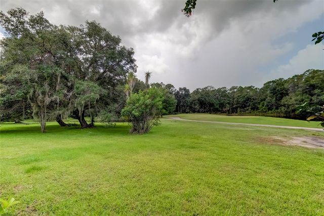 12943 ROYAL GEORGE AVENUE, Odessa, FL 33556