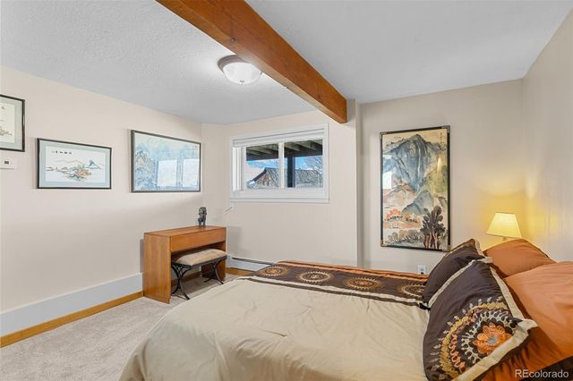 142 P Road, Silverthorne, CO 80498