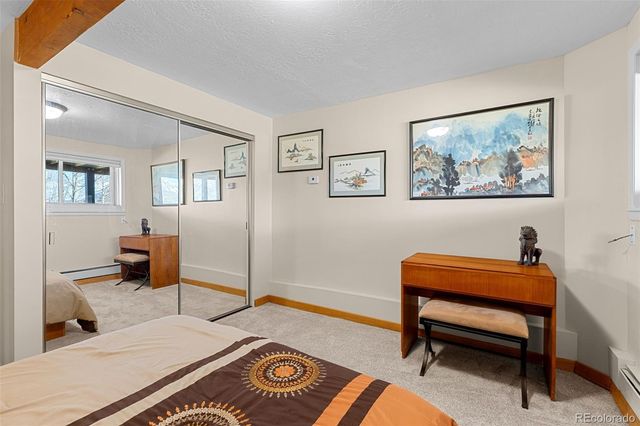 142 P Road, Silverthorne, CO 80498