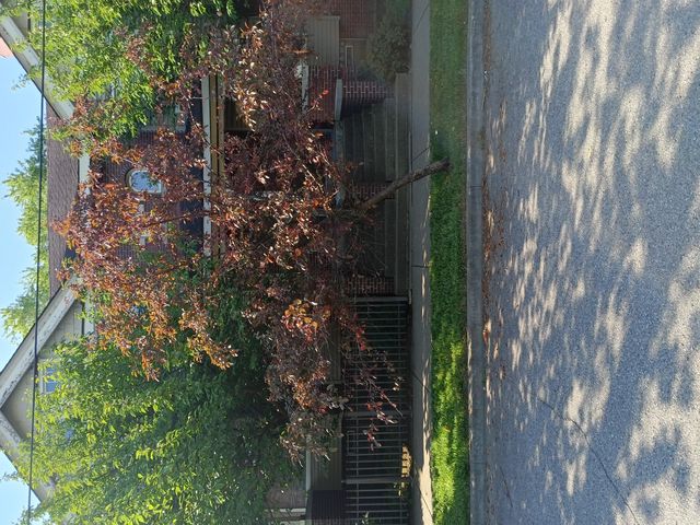 7252 Saint Paul Street, Detroit, MI 48214