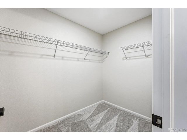 7755 Solstice Way, Castle Rock, CO 80108