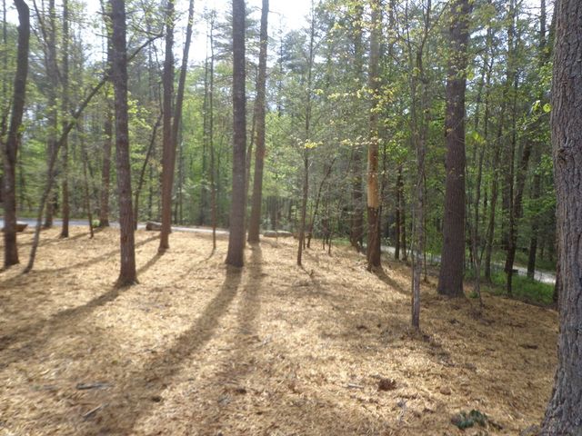 561 Woodland Trail, Epworth, GA 30541