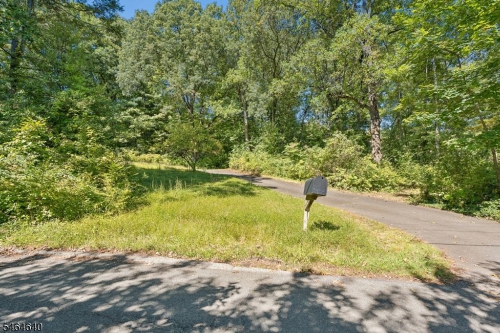 50 Mountain Ave, Chatham Twp., NJ 07928 — photo 2