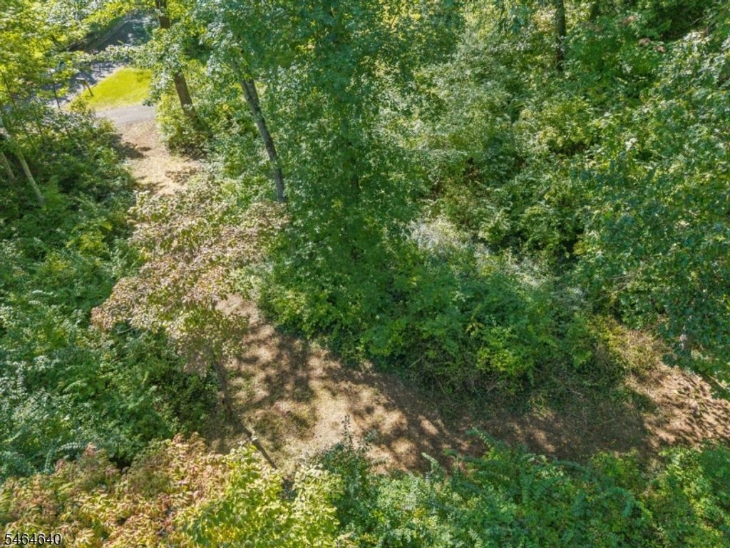 50 Mountain Ave, Chatham Twp., NJ 07928 — photo 3